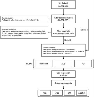 Protective role of serum albumin in dementia: a prospective study from United Kingdom biobank